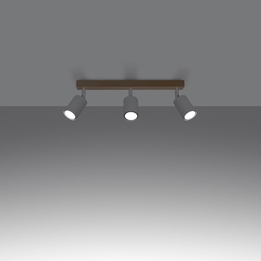 spot-lampa-ot-stomana-i-darvo-verdo