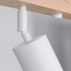 spot-lampa-ot-stomana-i-darvo-verdo
