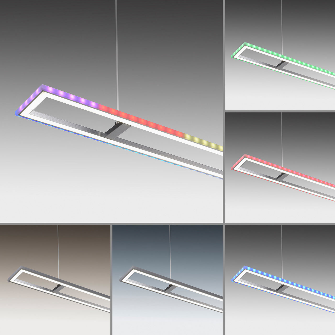 rgb-poliley-s-distantsionno-felix60