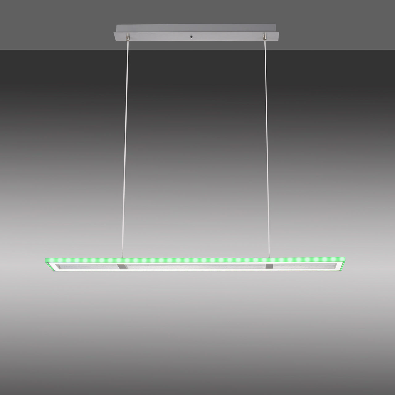 rgb-poliley-s-distantsionno-felix60