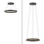 led-poliley-s-distantsionno-pure-e-loop