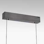 led-lineen-poliley-s-distantsionno-pure-e-popup