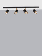 lineyna-lampa-s-nasochvane-pogno