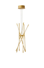 led-poliley-raccio