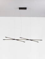 led-lineen-poliley-raccio