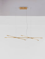 led-lineen-poliley-raccio