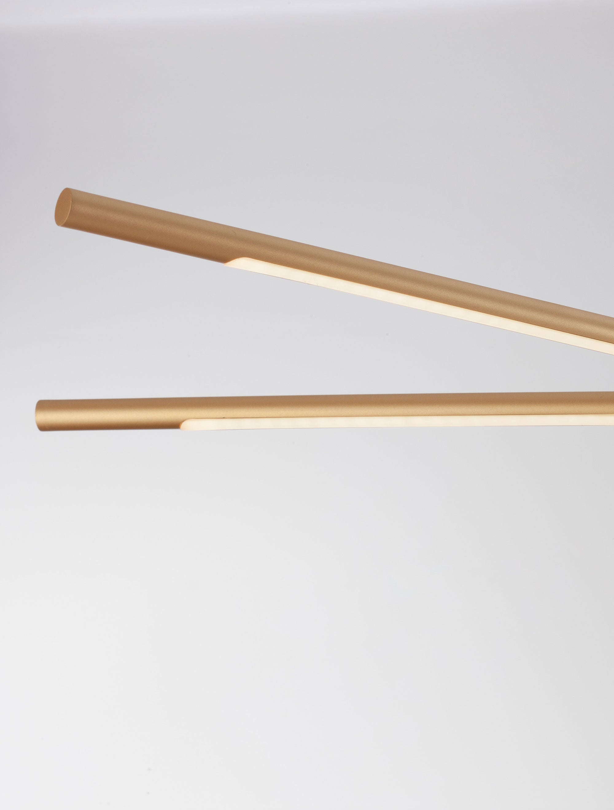 led-lineen-poliley-raccio