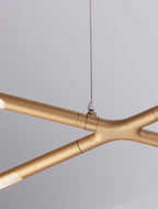 led-lineen-poliley-raccio
