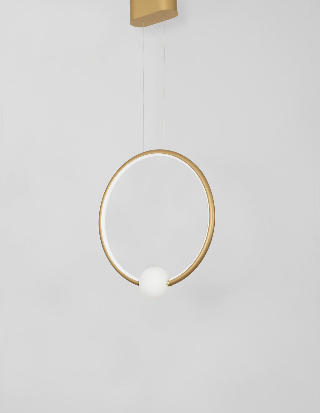 led-poliley-s-distantsionno-celia-1
