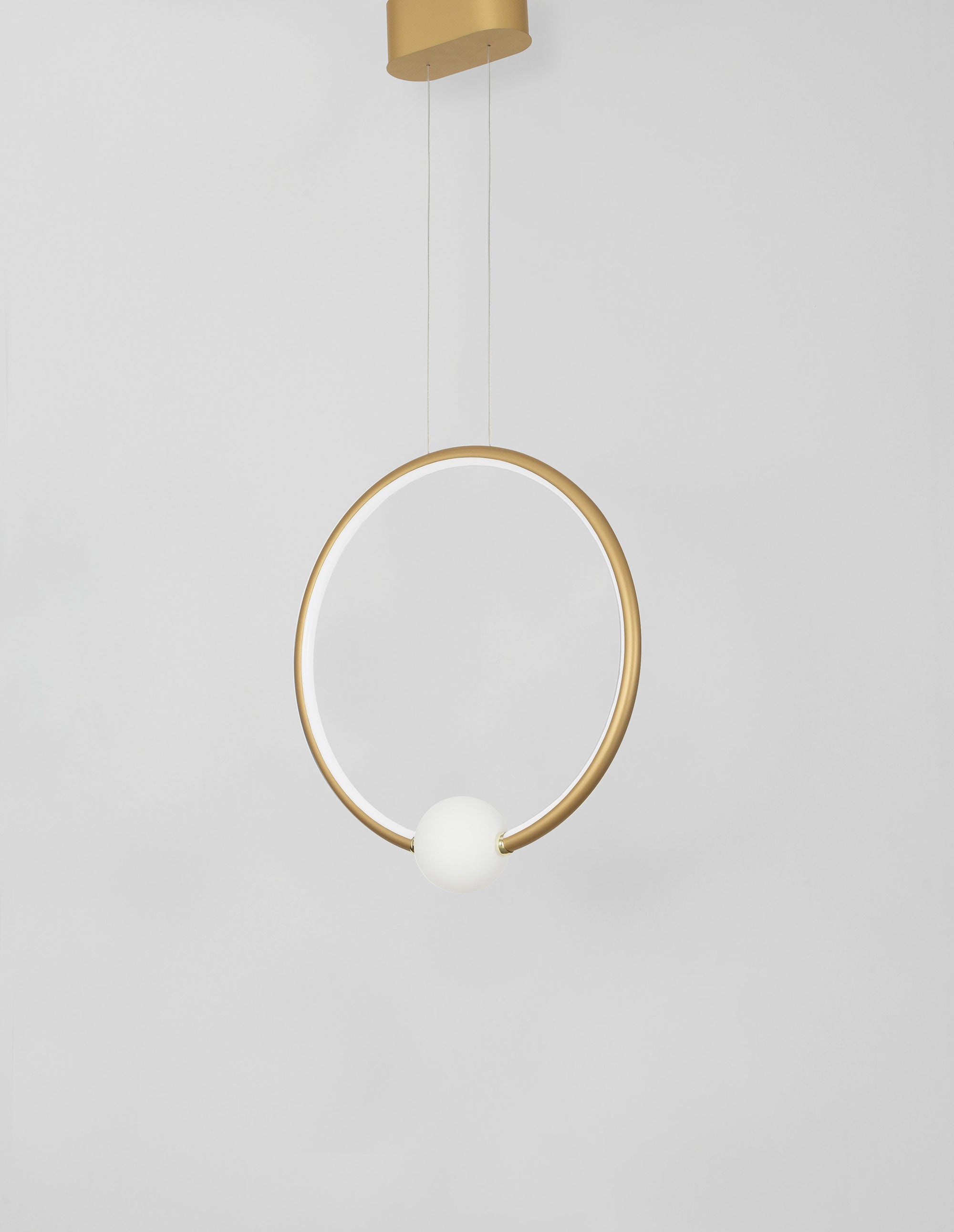 led-poliley-s-distantsionno-celia-1