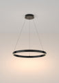 led-ring-poliley-rim