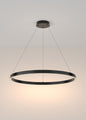led-ring-poliley-rim