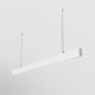 led-poliley-basis