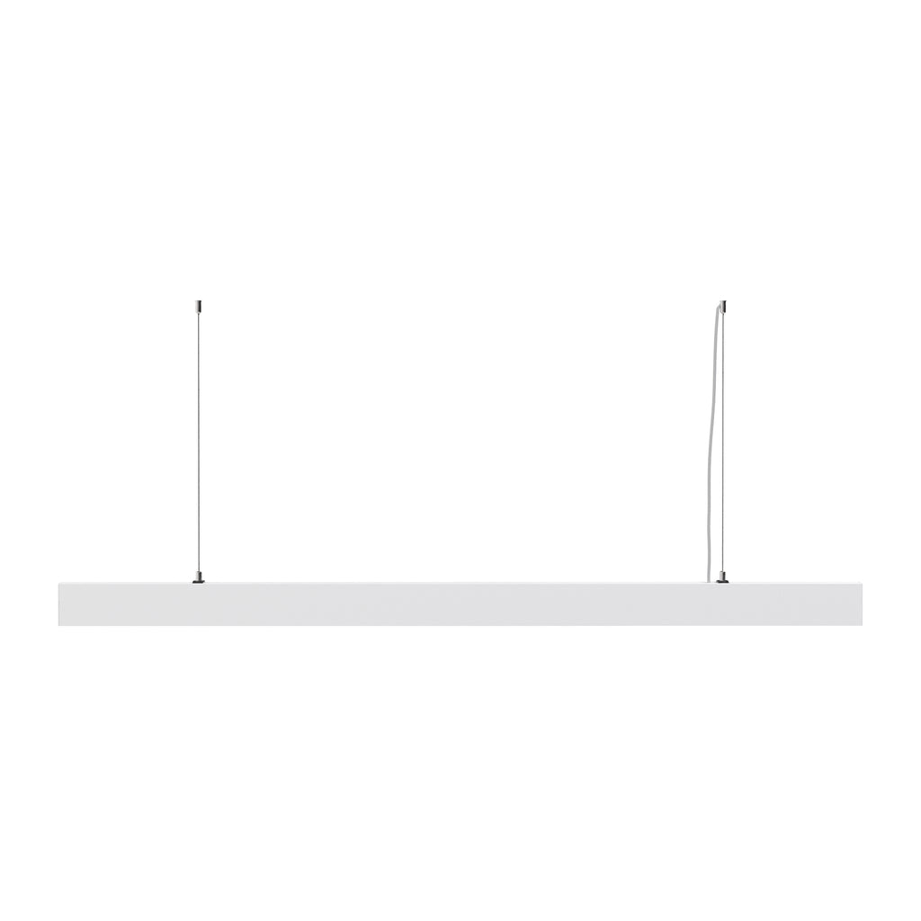led-poliley-basis