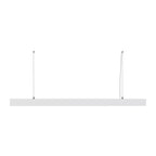 led-poliley-basis