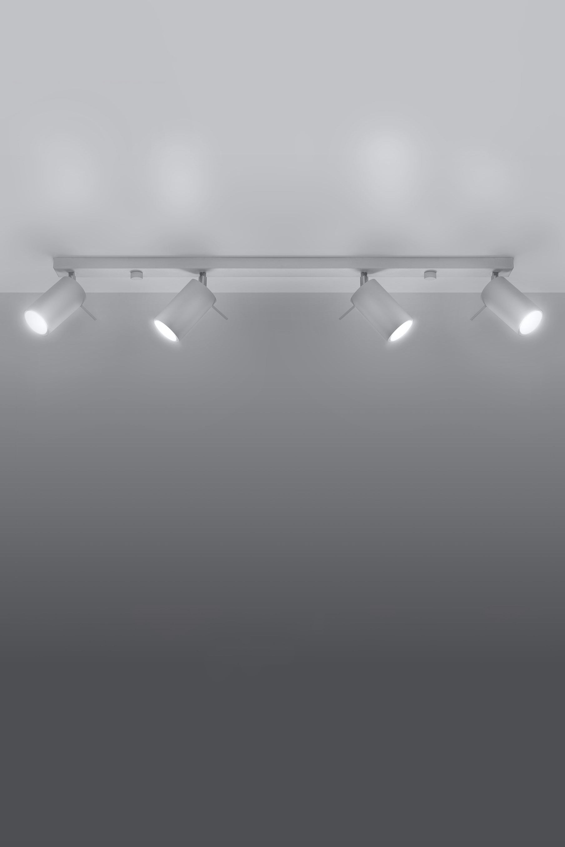 spot-lampa-za-tavan-ring