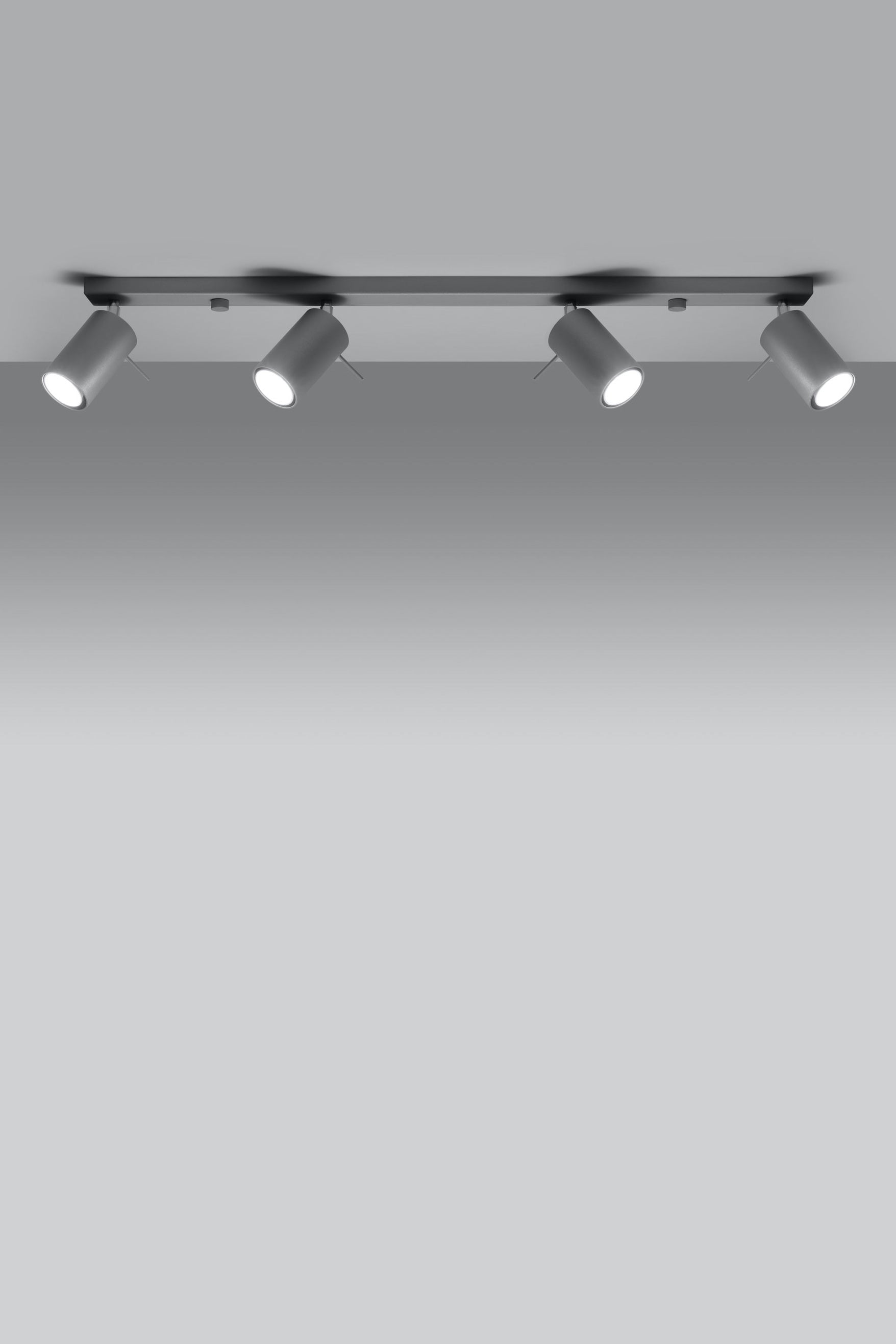 spot-lampa-za-tavan-ring