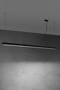 led-poliley-lineen-pinne