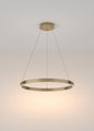 led-ring-poliley-rim
