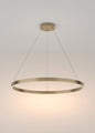led-ring-poliley-rim