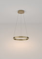 led-ring-poliley-rim