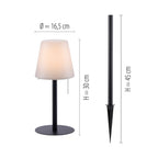 vanshna-lampa-za-masa-i-zemya-keno