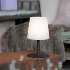 vanshna-lampa-za-masa-i-zemya-keno