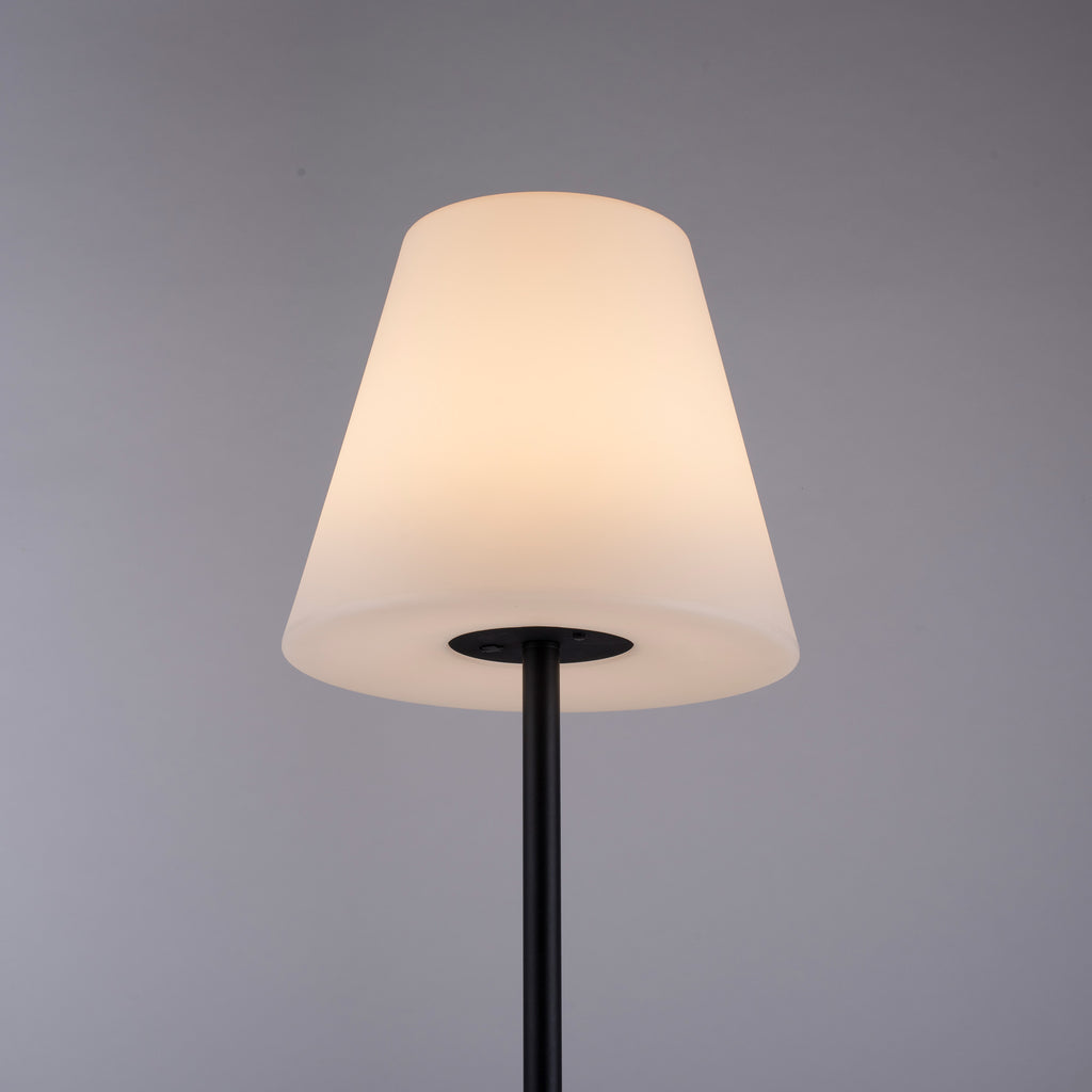 rgb-lampion-holly