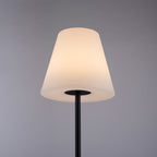 rgb-lampion-holly